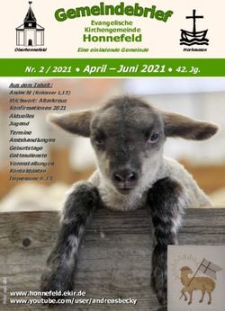 Nr. 2 / 2021 April Juni 2021 42. Jg - Ev. Kirchengemeinde Honnefeld