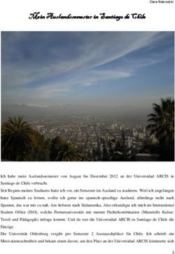 Mein Auslandssemester in Santiago de Chile