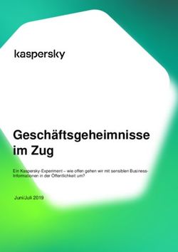 Geschäftsgeheimnisse im Zug - Juni/Juli 2019 Ein Kaspersky-Experiment - wie offen gehen wir mit sensiblen Business-Informationen in der ...