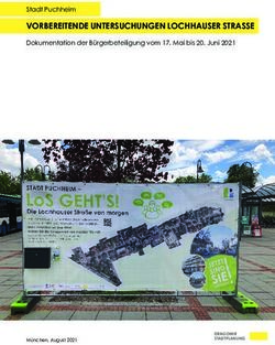 VORBEREITENDE UNTERSUCHUNGEN LOCHHAUSER STRASSE - Stadt Puchheim Dokumentation der B&uuml;rgerbeteiligung vom 17. Mai bis 20. Juni 2021