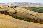 SÜDLICHE TOSKANA - LANDSCHAFTEN VOLLER HARMONIE - Wandern und Wein in Italien