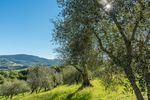 SÜDLICHE TOSKANA - LANDSCHAFTEN VOLLER HARMONIE - Wandern und Wein in Italien