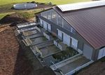 Alles muss raus Stallbau - EIP-Rind