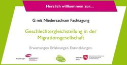 Geschlechtergleichstellung in der Migrationsgesellschaft - G mit Niedersachsen Fachtagung - G mit ...