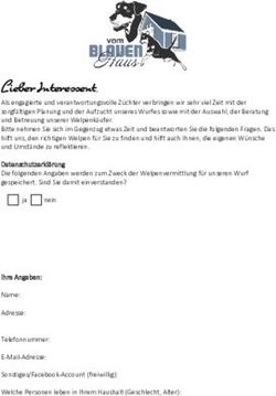 Lieber Interessent, Deutsche Pinscher vom Blauen Haus