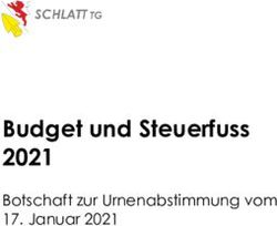 Budget und Steuerfuss 2021 - Botschaft zur Urnenabstimmung vom 17. Januar 2021 - Gemeinde Schlatt
