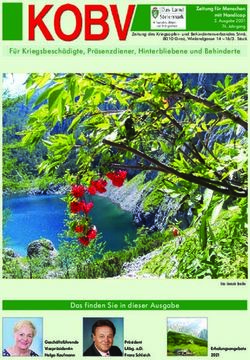 F&uuml;r Kriegsbesch&auml;digte, Pr&auml;senzdiener, Hinterbliebene und Behinderte - Das finden Sie in dieser Ausgabe - KOBV Steiermark