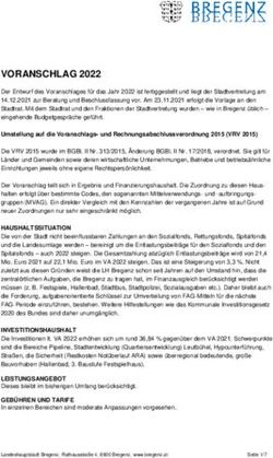 VORANSCHLAG 2022 - Landeshauptstadt Bregenz
