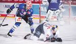 N04Freier Kopf starke goalies Die überzeugenden Leistungen zwischen den Pfosten - Schwenninger Wild Wings