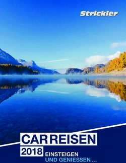 CAR REISEN 2018 EINSTEIGEN - UND GENIESSEN - Strickler Reisen AG