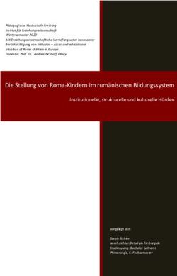 Die Stellung von Roma-Kindern im rum&auml;nischen Bildungssystem