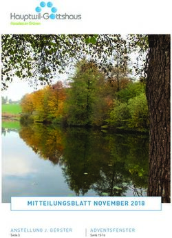 MITTEILUNGSBLATT NOVEMBER 2018 - ANSTELLUNG J. GERSTER - Gemeinde Hauptwil-Gottshaus