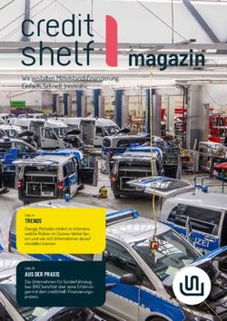 Magazin - Struktur Management Partner