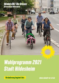 WAHLPROGRAMM 2021 STADT HILDESHEIM - B&Uuml;NDNIS90/ DIE GR&Uuml;NEN ORTSVERBAND HILDESHEIM