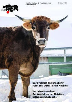 Der Grosstier-Rettungsdienst rückt aus, wenn Tiere in Not sind Hof Lebensparadies: Der Wandel von der Nutztier-haltung zum Lebenshof - PRO