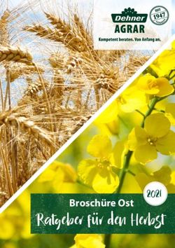 Ratgeber f&uuml;r den Herbst - 2021 Brosch&uuml;re Ost - Dehner Agrar