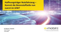 Hoffnungstr&auml;ger Nutzfahrzeug - Kommt die Brennstoffzelle nun zuerst im LKW? - Dr. Manuel C. Schaloske Leiter Energie 12.03.2020 - IHK Rhein-Neckar