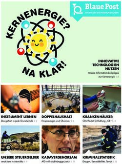 A R! - AFD-FRAKTION-SACHSEN