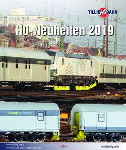 H0-Neuheiten 2019 - www.tillig.com www.facebook.com/tilligbahn - JR Line