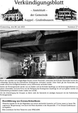 Verk&uuml;ndigungsblatt - Amtsblatt - der Gemeinde Kappel - Grafenhausen - Gemeinde Kappel-Grafenhausen