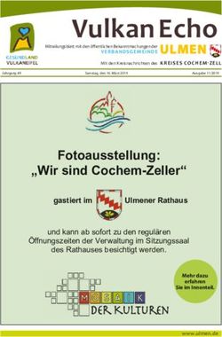 VULKAN ECHO VERBANDSGE MEINDE ULMEN - MEHR DAZU ERFAHREN SIE IM INNENTEIL - EDOWEB