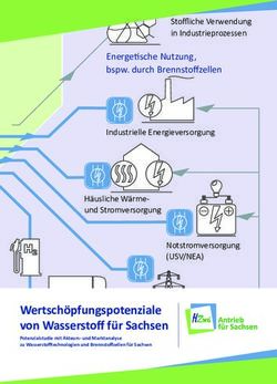 Wertschöpfungs potenziale von Wasserstoff für Sachsen - HZwo