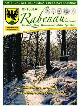 Ein glückliches, gesundes und erfolgreiches Jahr 2019! - Ausgabe 01/2019 11. Januar 2019 - in Rabenau