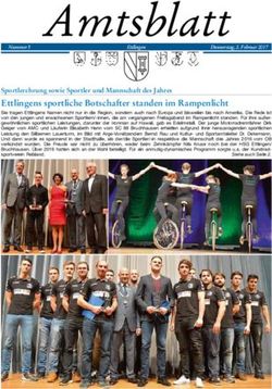 Ettlingens sportliche Botschafter standen im Rampenlicht