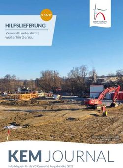 KEM JOURNAL - HILFSLIEFERUNG KEMNATH UNTERST&Uuml;TZT WEITERHIN DERNAU - STADT KEMNATH