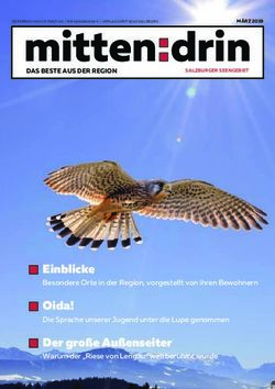 Mitten:drin - Salzburger ...