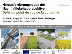 Herausforderungen aus der Nachhaltigkeitsperspektive| D&eacute;fis du point de vue de la durabilit&eacute;