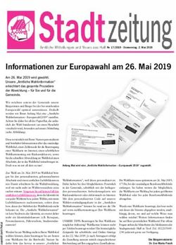 Informationen zur Europawahl am 26. Mai 2019
