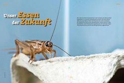 Der Zukunft - Gasthof Engel H&uuml;swil