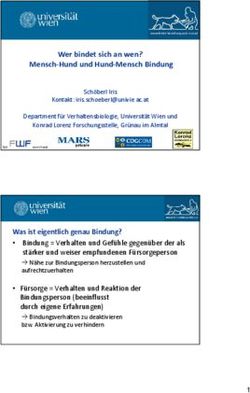 Wer bindet sich an wen? Mensch Hund und Hund Mensch Bindung