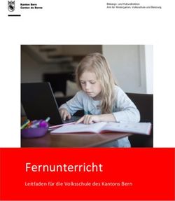 Fernunterricht Leitfaden für die Volksschule des Kantons Bern - BIZ Berufsberatungs