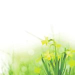 Ostergru&szlig; - Gemeinde Warthausen