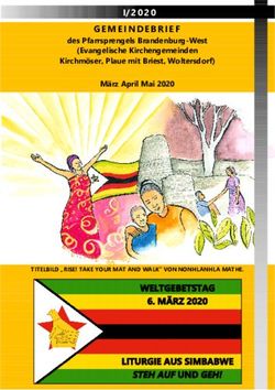 Des Pfarrsprengels Brandenburg-West (Evangelische Kirchengemeinden Kirchmöser, Plaue mit Briest, Woltersdorf) März April Mai 2020