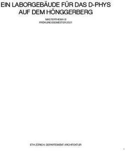 EIN LABORGEBÄUDE FÜR DAS D-PHYS AUF DEM HÖNGGERBERG - MASTERTHEMA B FRÜHLINGSSEMESTER 2021 - ETH ZÜRICH, DEPARTEMENT ARCHITEKTUR - ETH Zürich