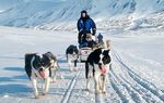 Exklusives arktisches Wintererlebnis - NWZ Leserreisen