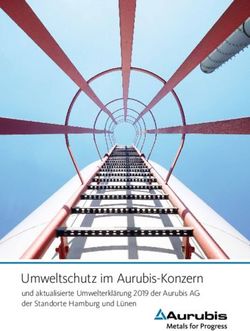Umweltschutz im Aurubis-Konzern - und aktualisierte Umwelterklärung 2019 der Aurubis AG der Standorte Hamburg und Lünen - EMAS
