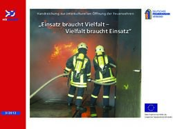"Einsatz braucht Vielfalt - Vielfalt braucht Einsatz" - Handreichung zur interkulturellen &Ouml;ffnung der Feuerwehren - Deutscher Feuerwehrverband