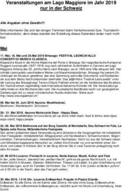 Veranstaltungen am Lago Maggiore im Jahr 2019 nur in der Schweiz