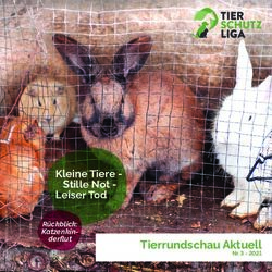 Tierrundschau Aktuell - Kleine Tiere - Stille Not - Leiser Tod - Tierschutzliga Stiftung