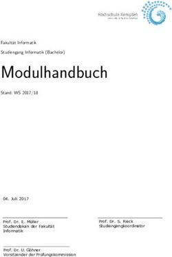 Modulhandbuch - Juli 2017 Prof. Dr. S. Rieck Studiengangkoordinator - Hochschule Kempten