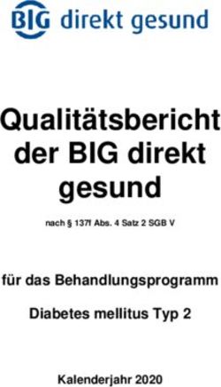 Qualitätsbericht der BIG direkt gesund - für das Behandlungsprogramm Diabetes mellitus Typ 2