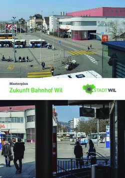 Zukunft Bahnhof Wil Masterplan - A ISOARTS PUBLICATION - Stadt Wil