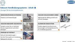 Vakuum-Handhabungssysteme - Inhalt - L&ouml;sungen f&uuml;r die Automobilbranche - Schmalz