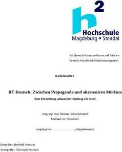 RT Deutsch: Zwischen Propaganda und alternativen Medium