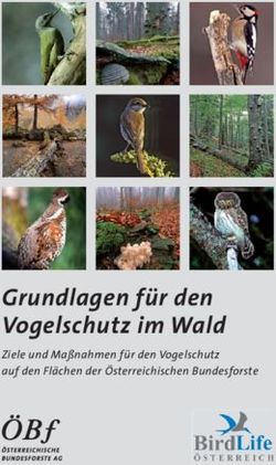 Grundlagen F R Den Vogelschutz Im Wald Ziele Und Ma Nahmen F R Den Vogelschutz Auf Den Fl Chen