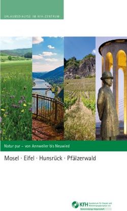 MOSEL EIFEL HUNSR&Uuml;CK PF&Auml;LZERWALD - NATUR PUR - VON ANNWEILER BIS NEUWIED - KFH ...